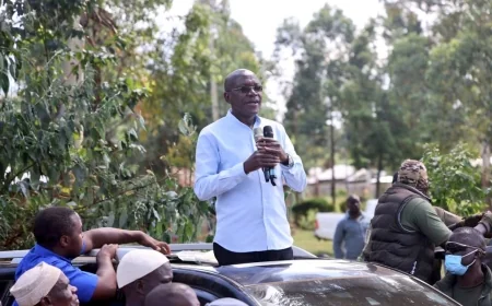 Bungoma Senator Wafula Wakoli replaces Boni Khalwale as Senate Majority Whip