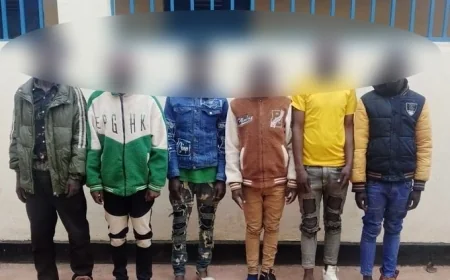 Six more suspects in viral Meru gang rape video arrested