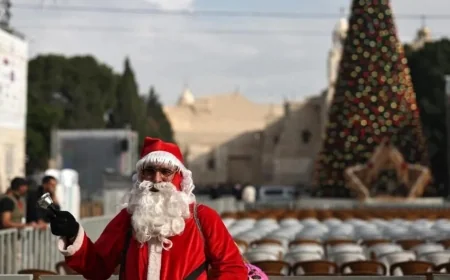 Bethlehem Christmas tree lights up for first time since start of Gaza war