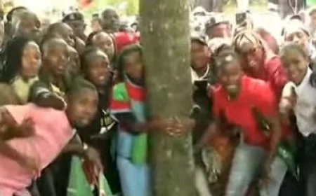 Cheers, hugs as Truphena finishes 72-hour tree-hugging challenge