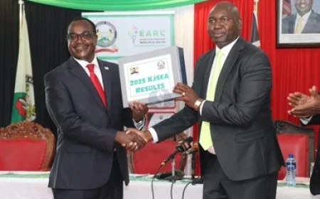 Over half of students who sat for KJSEA exams to pursue STEM subjects