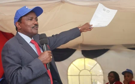 Kalonzo fires back at Ruto over 'No road to his home' remark