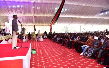 Sifuna apologises to Uhuru over attacks by ODM leaders