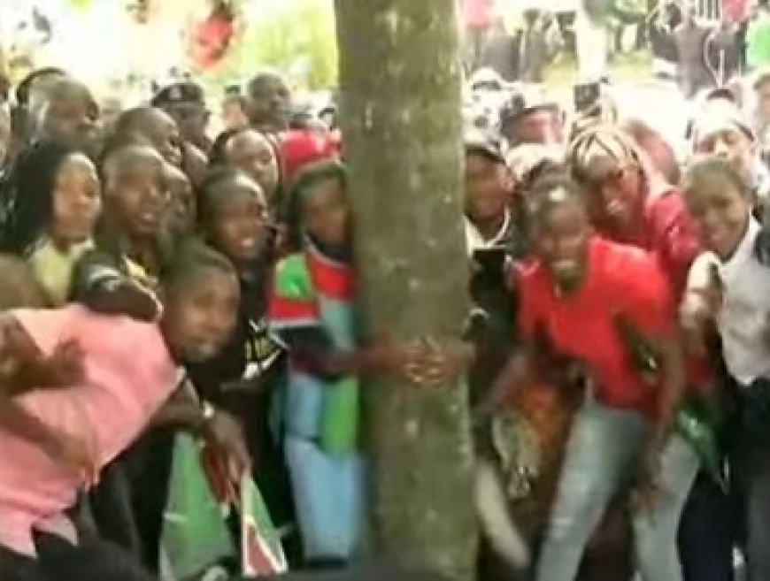 Cheers, hugs as Truphena finishes 72-hour tree-hugging challenge