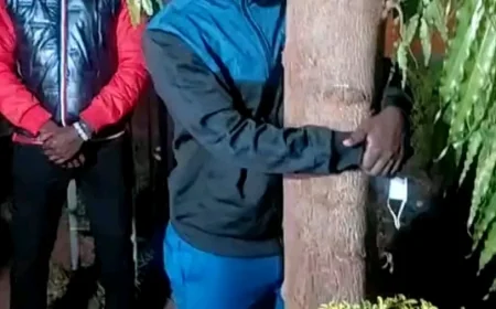 Murang’a man begins 80-hour tree-hugging challenge to raise cancer awareness