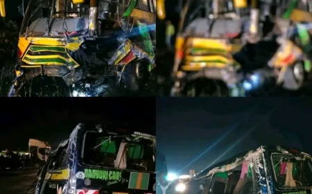 Karai–Naivasha accident: Survivors speak, claim driver ignored repeated warnings