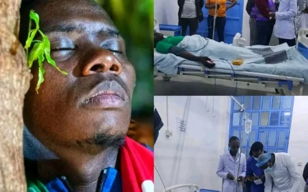 Murang'a man collapses after hitting 79 hours in tree hugging fete