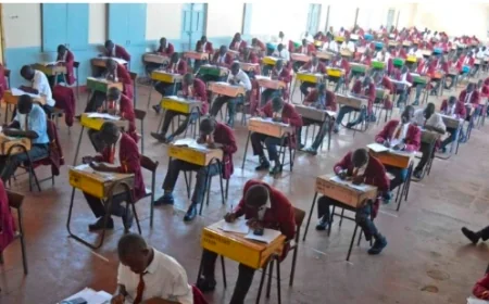 National schools shine with As, subcounty schools with C+