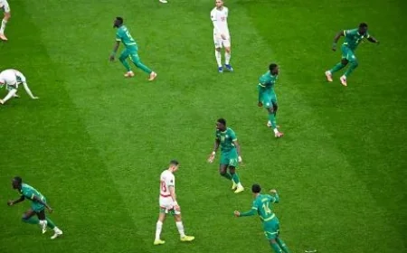 Senegal bravo! Kenyans congratulate Senegal after AFCON triumph
