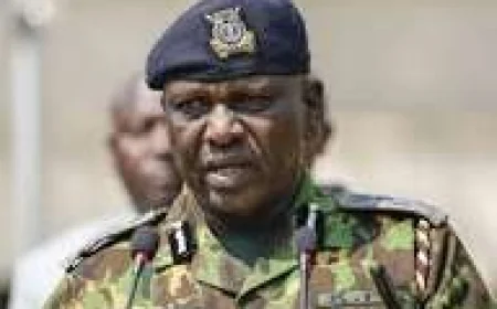 Senate summons IG Kanja over failure to arrest Samburu governor
