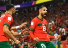 Who's representing Africa in World Cup? Team profiles