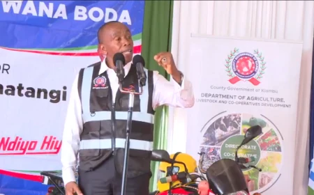 Wamatangi: I will not be pressured to join any political party