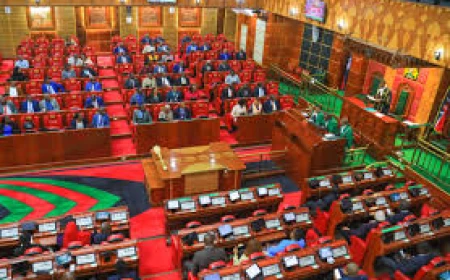 Tension in Parliament as opposition MPs plan to walk out on Finance Bill proceedings