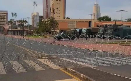 Roadblocks disrupt Parliament as committees postpone sittings