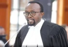 Lawyer Ndegwa Njiru arrested over 'drunk driving'