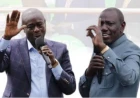 What DCP's Ol Kalou victory means for Ruto, Gachagua and 2027