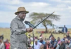 We know where you are, and we will come for you, Murkomen warns banditry sponsors