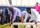 Fundi wa Mbao: Ruto tries his hand at woodwork with artisans