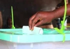 Missing IDs, lack of time keep Kenyans off voters' register – Tifa