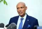 Saba Saba Day: Protest peacefully, but don't cross the line, DCI warns