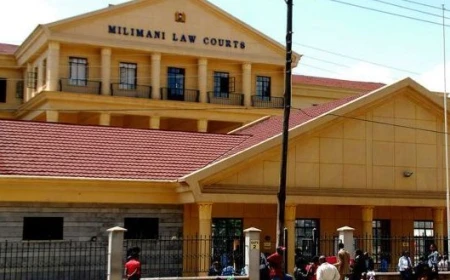 High Court strikes down State website-blocking powers in Cybercrimes Act