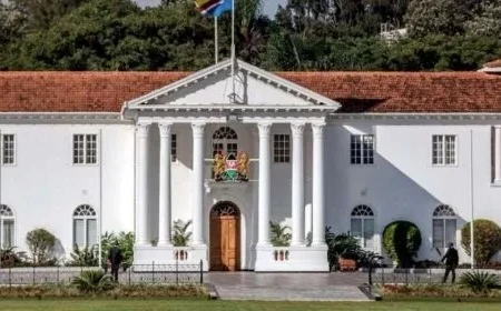 Kabogo: President's website taken offline after cybersecurity incident as probe gets underway