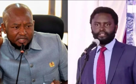 Murango, Nyutu lead Infotrak's top senators list