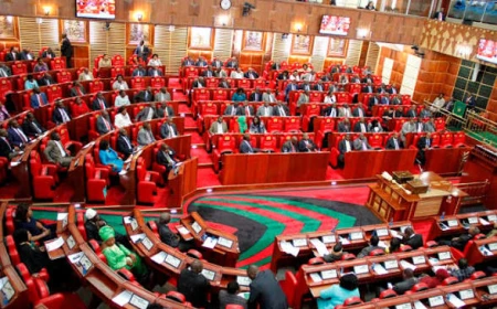 MPs push for return of corporal punishment to curb student unrest