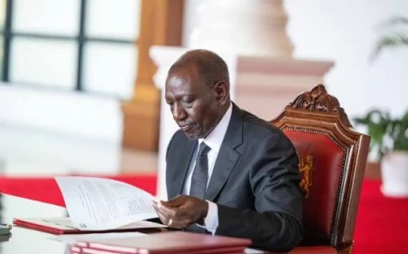 Ruto rejects public procurement Bill, sends it back to Parliament