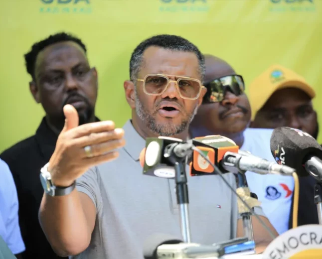 UDA rubbishes DCP's Ol Kalou vote-rigging claims, says no evidence