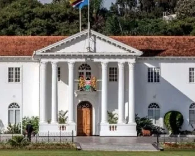 Kabogo: President's website taken offline after cybersecurity incident as probe gets underway