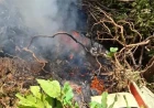 Six tourists and pilot killed in Samburu helicopter crash