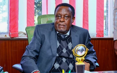 Nairobi Jubilee leaders downplay Kamukunji MP’s defection to DCP