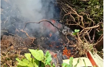 Six tourists and pilot killed in Samburu helicopter crash