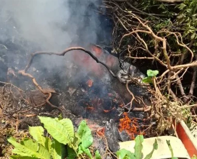 Six tourists and pilot killed in Samburu helicopter crash