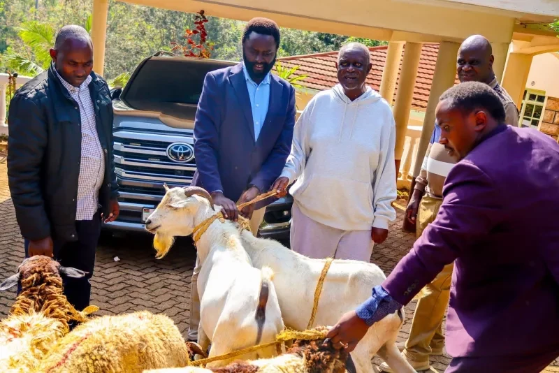 Methu checks on Oburu at home, bringing goats with him