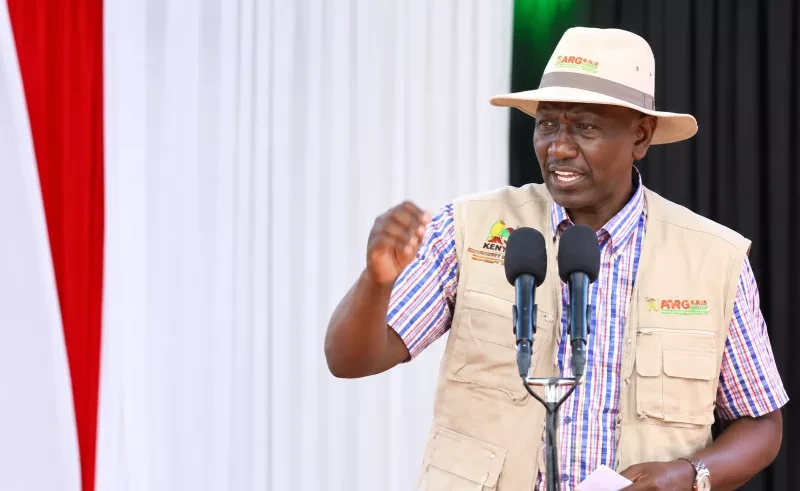 Ruto warns ‘brokers’ against frustrating Sh2.9 trillion Dangote refinery project