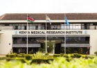 Government sets up 4 labs for Ebola testing