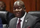 Sh200 enough to lure vulnerable youth into political violence, DPP says