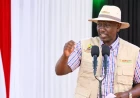 Ruto warns ‘brokers’ against frustrating Sh2.9 trillion Dangote refinery project