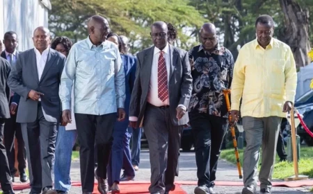Poll: Over half of Kenyans still oppose broad-based government