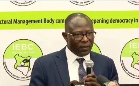 Ethekon: I took the IEBC ‘hot seat’ knowing I won’t be alone