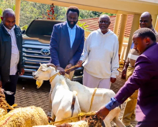 Methu checks on Oburu at home, bringing goats with him