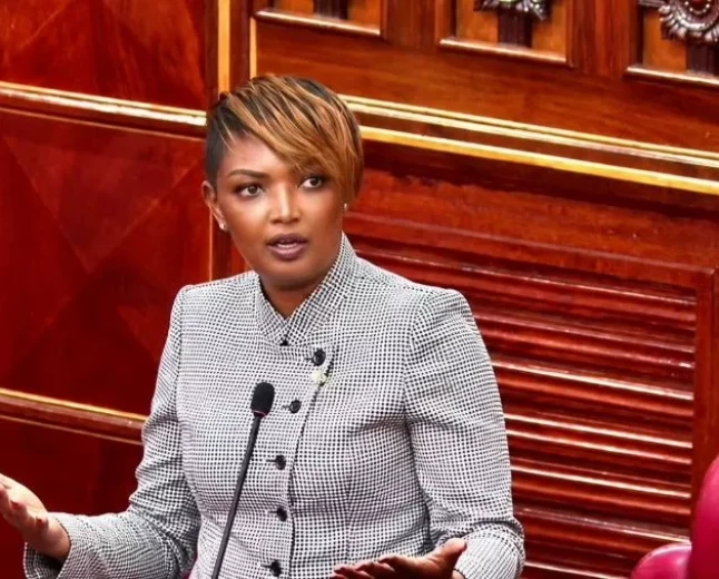 Karen Nyamu: I would rather be on the ballot and lose than seek nomination again