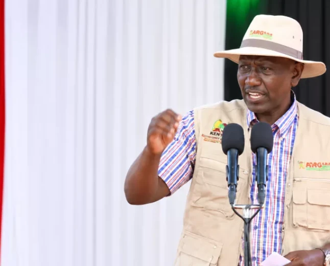 Ruto warns ‘brokers’ against frustrating Sh2.9 trillion Dangote refinery project