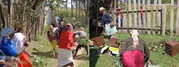 Ol Kalou residents raid bar, destroy alcohol over alleged illicit liquor sale