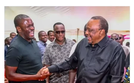 Sponsor’, ‘rebel leader’, ‘mlevi’: Uhuru tells critics, ‘You’re wasting your time’