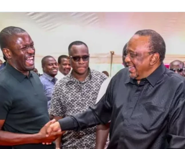Sponsor’, ‘rebel leader’, ‘mlevi’: Uhuru tells critics, ‘You’re wasting your time’